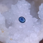 Load image into Gallery viewer, Montana Sapphire 4.27 CT Medium Blue with Cornflower Blue Nimbus Cabochon Cut
