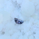 Load image into Gallery viewer, Montana Sapphire .52 CT Grey, Plum, Lavender, Lilac Half Moon Cut
