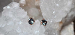 Load image into Gallery viewer, Montana Sapphire Earrings - .81 CTW 4 Double Prong Studs in 14k Rose Gold
