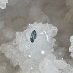 Load image into Gallery viewer, Montana Sapphire .80 CT Light Blue Marquise Cut
