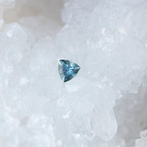 Montana Sapphire .69 CT Grey/Blue Trillion Cut