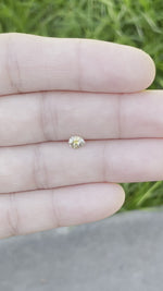Load and play video in Gallery viewer, Montana Sapphire .49 CT Yellow Pear Cut
