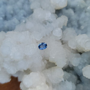 Sri Lankan Sapphire 1.10 CT Violet, Periwinkle, Dark Grey, Silver, White, Clear Oval Cut
