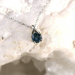 Pendant - Montana Sapphire .44 CT Blue Hexagon Cut set in 14K White Gold Wishbone Solitaire