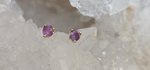 Earrings - Montana Sapphire .26 CTW Matched Pink 3 Prong Studs