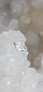 Montana Sapphire .65 CT White Gold Lozenge Cut