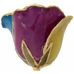 Load image into Gallery viewer, Rainbow Genuine Lacquered Rose Trimmed with 24K Gold

