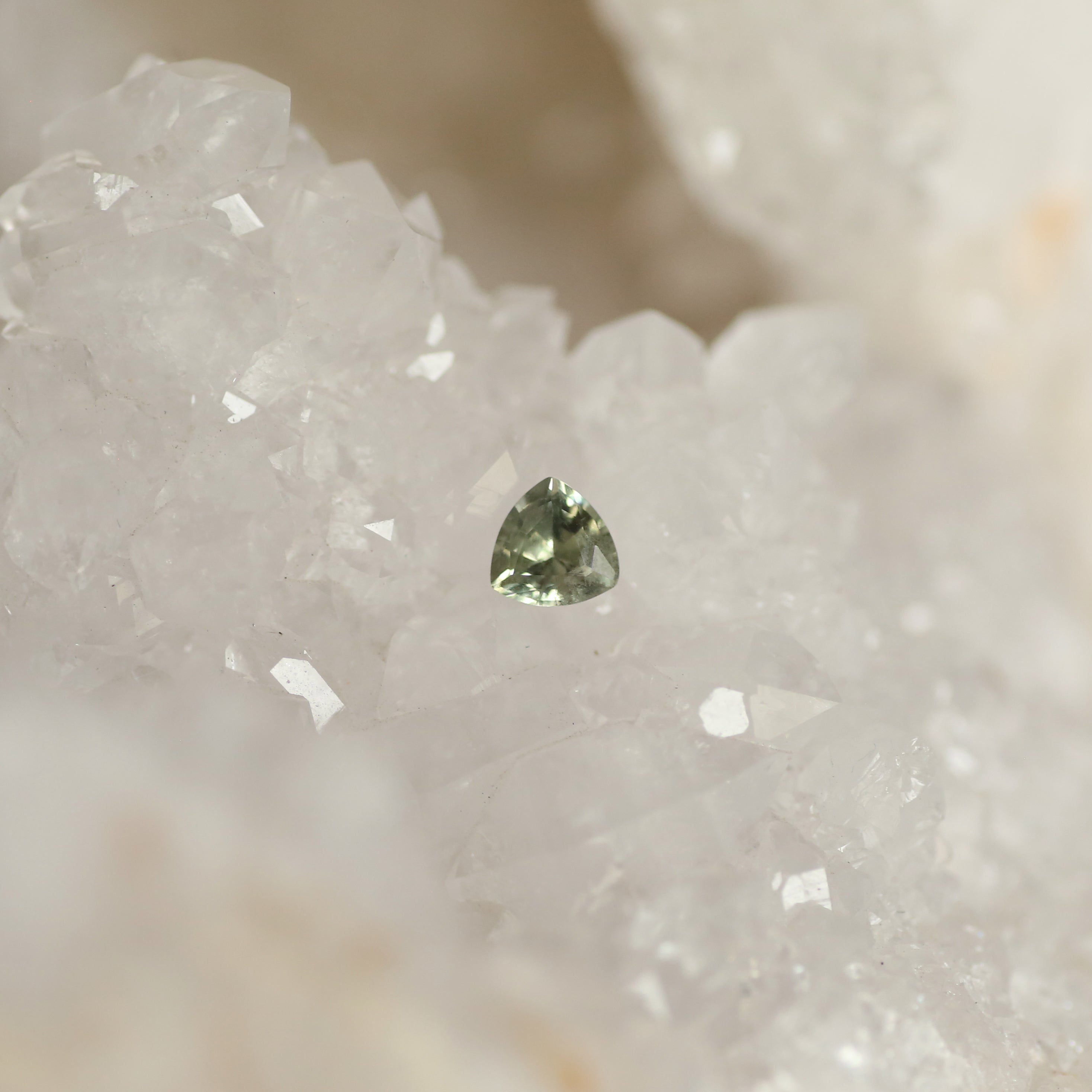 Montana Sapphire Green Trillion .55 Carat