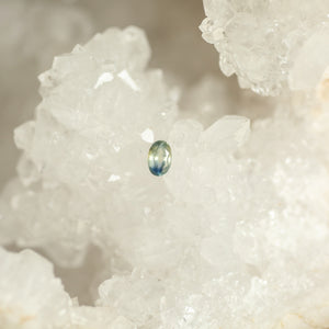 Montana Sapphire .56 CT Yellow with Blue Edged Bi-Colored Oval