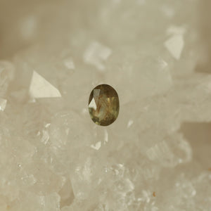 Montana Sapphire .50 CT Olive Green Oval Cut