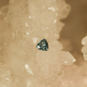 Montana Sapphire .66 CT Blue/Green Trillion Cut