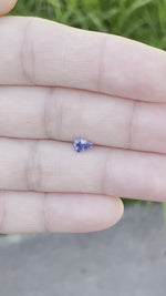 Load and play video in Gallery viewer, Sri Lankan Sapphire .58 CT Blue Pear Cut
