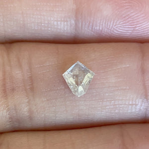 Diamond .74 CT Salty Modified Shield/Kite Cut