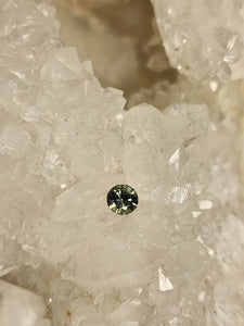 Montana Sapphire .31 CT Teal Round Cut