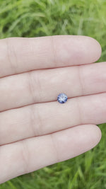 Load and play video in Gallery viewer, Montana Sapphire .57 CT Rich Blue Round Cut
