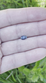 Load and play video in Gallery viewer, Montana Sapphire .95 CT Blue with Yellow Corner Oval Cut
