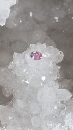 Load image into Gallery viewer, Montana Sapphire .75 CT Silky Pink Oval Cut
