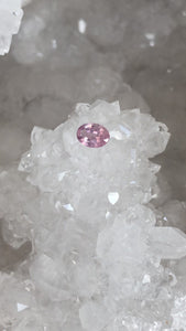 Montana Sapphire .75 CT Silky Pink Oval Cut