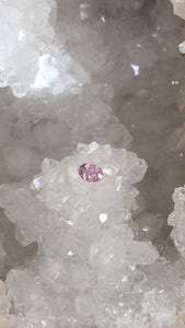 Montana Sapphire .75 CT Silky Pink Oval Cut