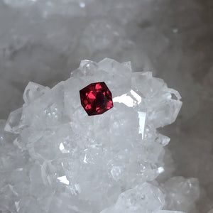 Square Brilliant Garnet .73 ct