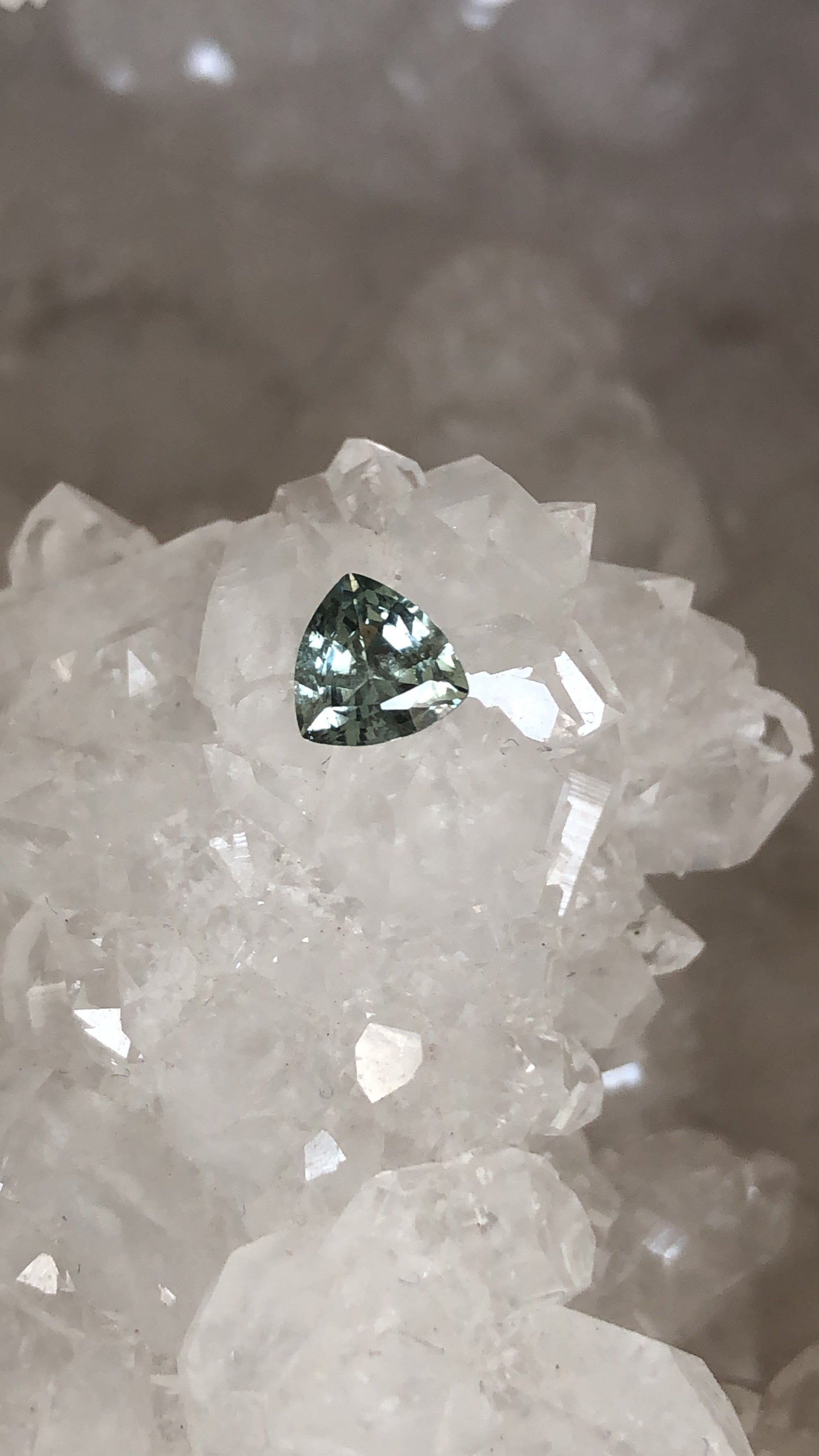 Montana Sapphire .66 CT Green Trillion Cut