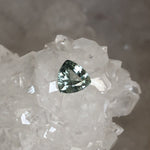 Load image into Gallery viewer, Montana Sapphire .66 CT Green Trillion Cut
